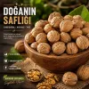 Elazığ Cevizi 500 gr - Doğal, Katkısız